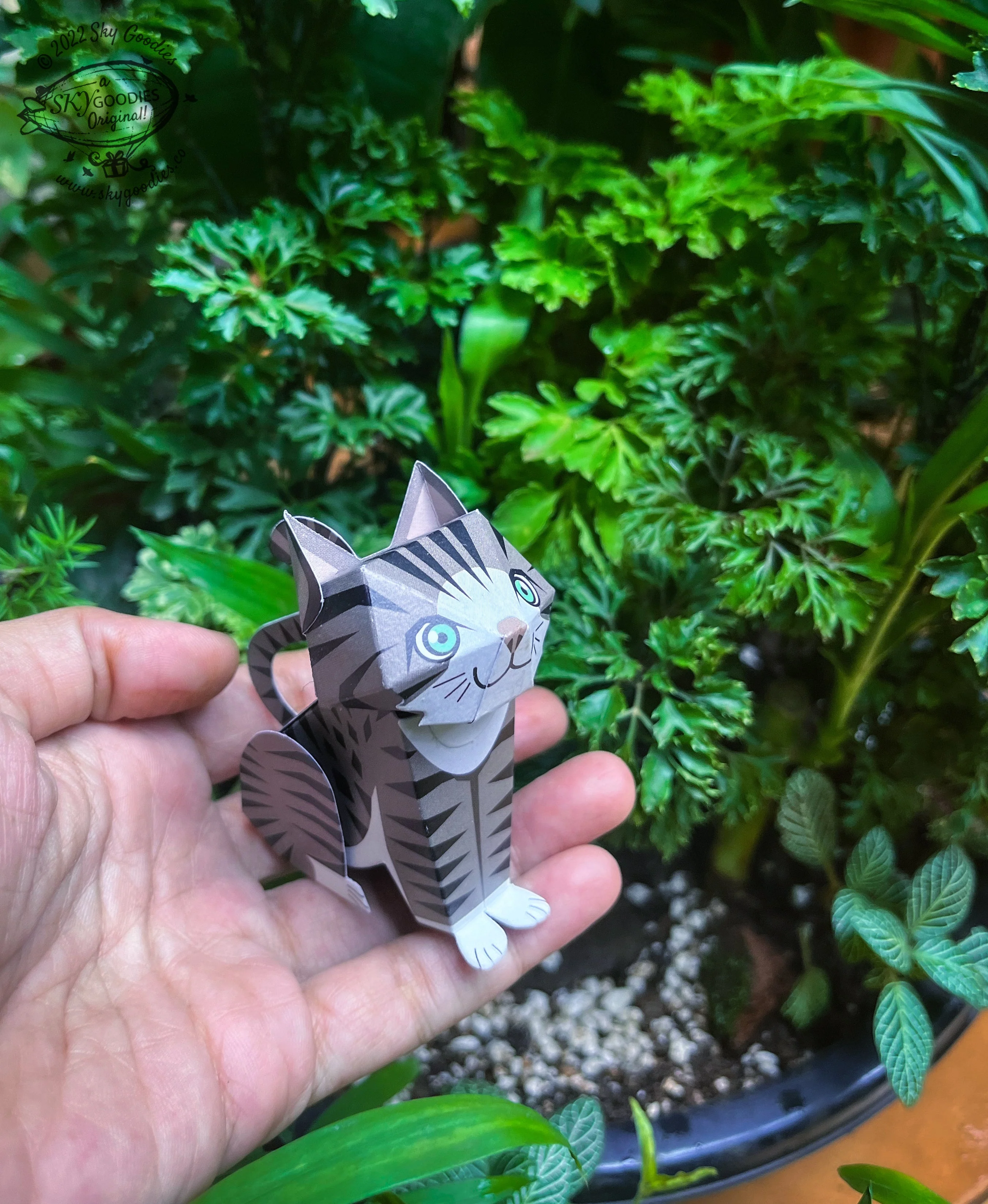 Thumb 5